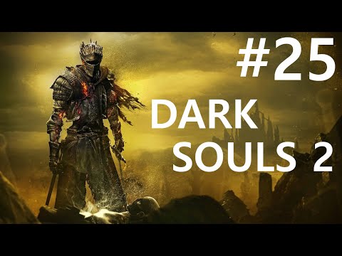 Видео: #25 Безбашенная красота. Dark Souls 2