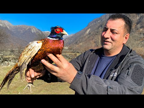 Видео: Рецепт Вкусного Азербайджанского Плова с Сочным Фазаном!