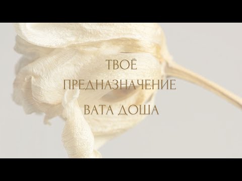 Видео: ПРЕДНАЗНАЧЕНИЕ ВАТА ДОШИ НА ЗЕМЛЕ