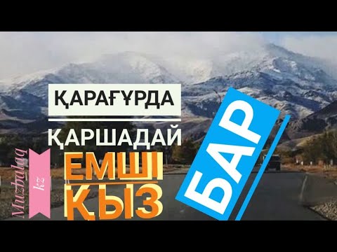 Видео: Қарағұрда қаршадай емші қыз бар. Нұр-Илла ҚОҢЫРАТ. Оқыған Базаркүл ҚАЛБЫР.