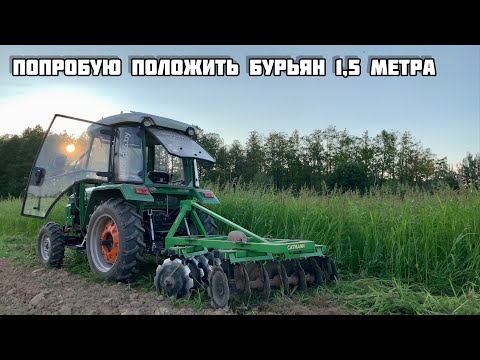 Видео: ДИСКОВАЯ БОРОНА vs 1,5 МЕТРА ТРАВЫ, трактор SHIFENG 504c