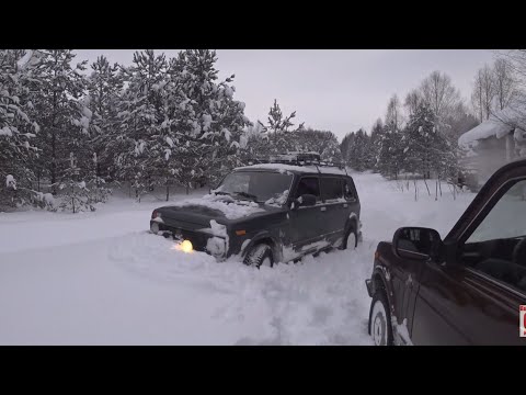 Видео: Две Нивы и глубокий снег. Разведка боем.