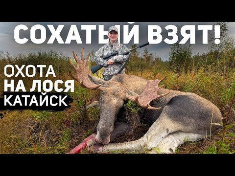 Видео: Охотничьи будни в Катайске: Лось в прицеле Blaser R93