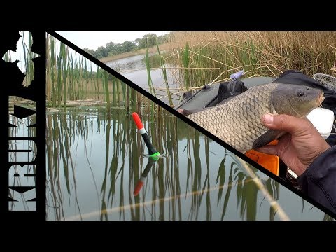 Видео: Ловля КАРПА и КАРАСЯ на поплавок. РЫБАЛКА не по плану!!!