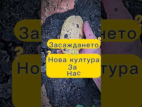 Видео: ОТНОВО ТУК !!!