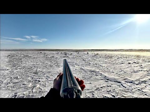 Видео: ОХОТА НА ЗАЙЦА!!!УДАЧНОЕ ЗАКРЫТИЕ СЕЗОНА ПО ЗАЙЦУ В МОРОЗ -22!!!