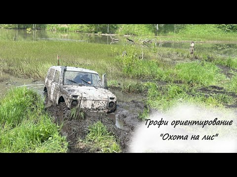 Видео: Трофи ориентирование "Охота на лис"