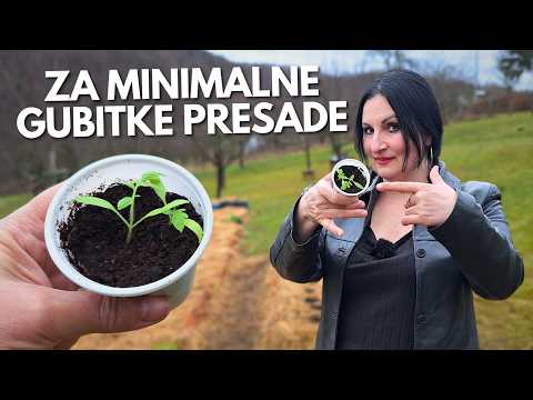 Видео: АДАПТАЦИЯ ПЕРЕСАДКИ для Минимальных Потерь