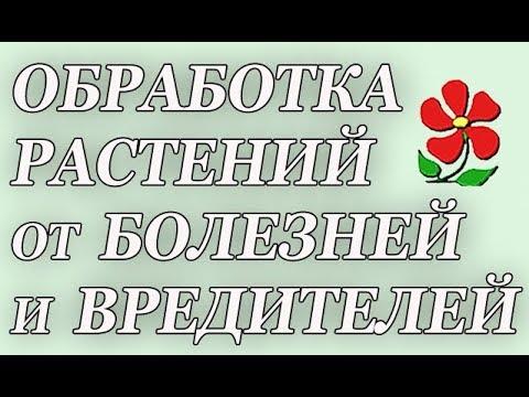 Видео: Обработка сада от болезней и вредителей.