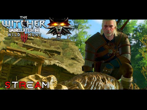 Видео: Сюжет или травница? ➤ The Witcher 3: Wild Hunt | STREAM #05