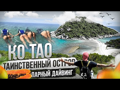 Видео: Как сейчас на КО ТАО? Остров смерти! Лучший дайвинг в Таиланде 2023. Это не Паттайя!