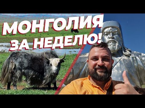 Видео: Монголия за неделю