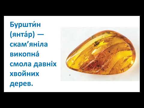 Видео: 23.10 ЯПС Т8 У71 (4 клас)