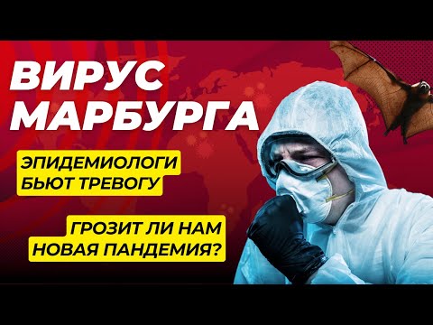 Видео: Вирус Марбурга в Руанде: Актуальная Информация и Риски