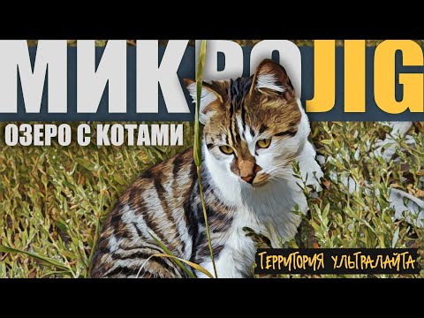 Видео: ТУТ КОТОВ БОЛЬШЕ ЧЕМ РЫБЫ. РАЗДАЛ ВЕСЬ УЛОВ. РЫБАЛКА НА УЛЬТРАЛАЙТ ► МИКРОДЖИГ