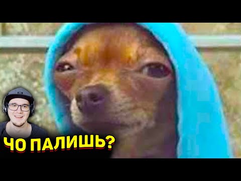 Видео: ЗАСМЕЯЛСЯ - ПРОИГРАЛ ► ЛУЧШИЕ ПРИКОЛЫ ( УЛЫБНУЛИСЬ ПРОИГРАЛИ СОЮЗ СМЕХА ) | Реакция