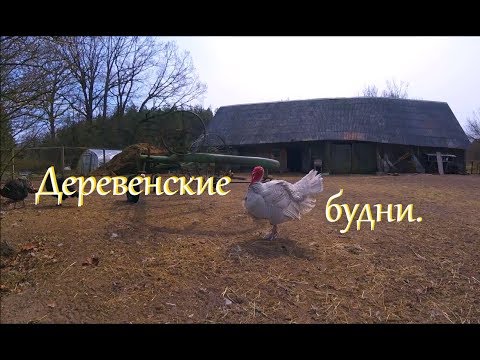 Видео: Деревенские будни. Благоустраиваю двор.