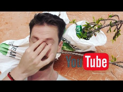 Видео: Растения выкинули в мешках как строительный мусор.