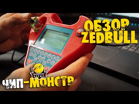 Видео: ОБЗОР программатора для ключей ZED BULL!
