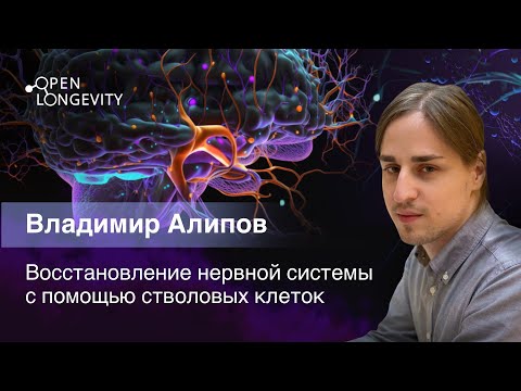 Видео: Владимир Алипов: Восстановление нервной системы с помощью стволовых клеток