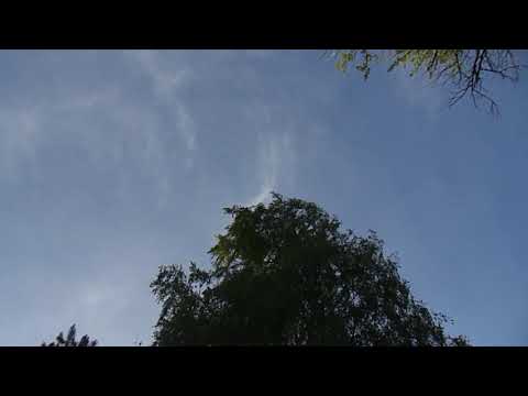 Видео: Московские монахи в небе 47 рег 30.05.20 г