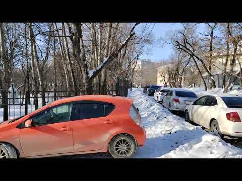 Видео: 388.Хабаровск.Ленина 24 - Путевая 14. 27.02.25.