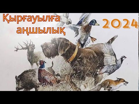 Видео: Ричи мен Инди ! Қырғауылға аңшылық! 2024, Охота на фазана!