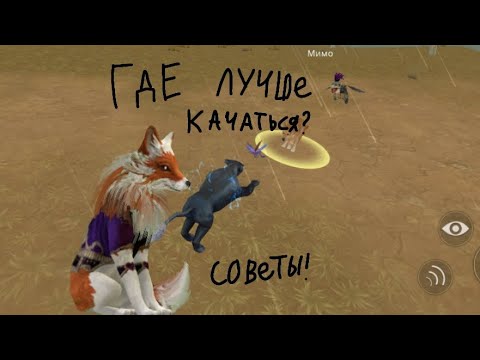 Видео: Где лучше качаться? Рассказываю и показываю!