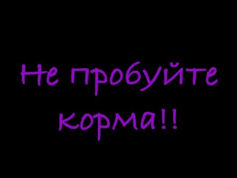 Видео: Мы на rutube: zoozavet