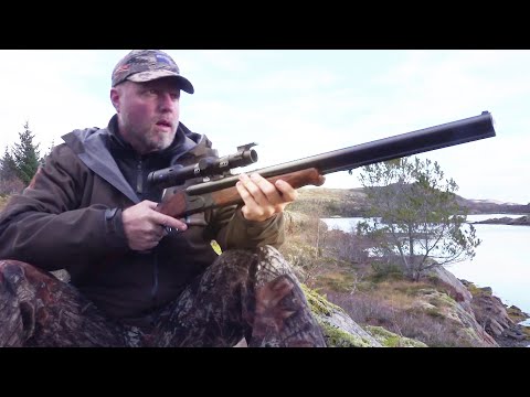 Видео: Охота на оленя в горах. Охотничьи приключения в Норвегии (NORDIC WILD HUNTER)