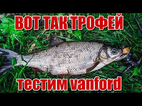 Видео: Здоровенный язь на ультралайт | Первый тест shimano vanford и сразу трофей | Минус ридж