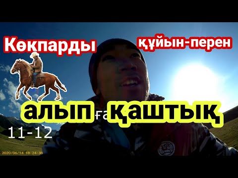 Видео: Көкпарды 120-мен әкеттік! Жайлаудағы жабайы КӨКПАР!