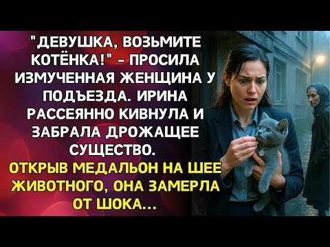 Видео: Девушка возьмите котёнка! Просила женщина у подъезда  Увидев медальон на шее животного Ирина зам