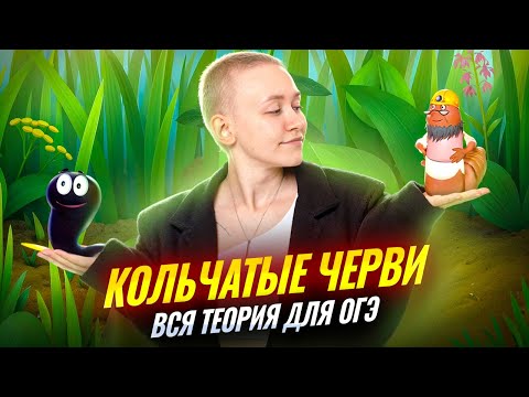 Видео: Тип Кольчатые черви | Полный разбор для ОГЭ по биологии | Умскул