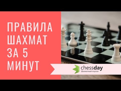Видео: Основные правила шахмат за 5 минут! Видео для начинающих.