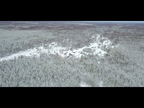 Видео: Пришли в ЛЕСНОЕ ПОСЕЛЕНИЕ, а там НИКОГО НЕТ. Деревня Красная Звезда. Нижегородчина. ПЕШИЙ ТУРИЗМ #1
