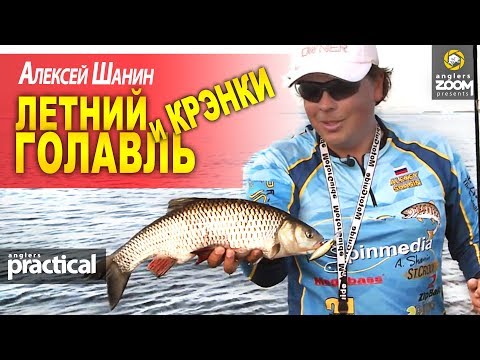 Видео: Летний ГОЛАВЛЬ на КРЭНКИ. Алексей Шанин. Anglers Practical