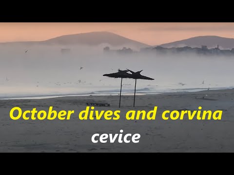 Видео: Октомврийски гмуркания и как се прави севиче