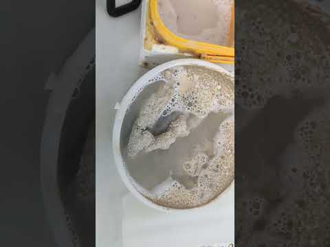 Видео: Обработка морских камней в перекиси водорода