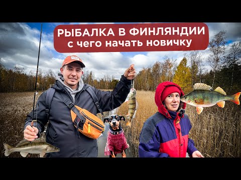 Видео: Рыбалка в Финляндии 🎣 С чего начать новичку?