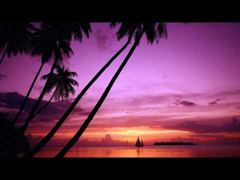 Видео: Артур Скотт - Розовый Закат