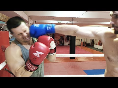 Видео: Бой Шреддер против огромного Боксера 110 кг! Проверка на прочность