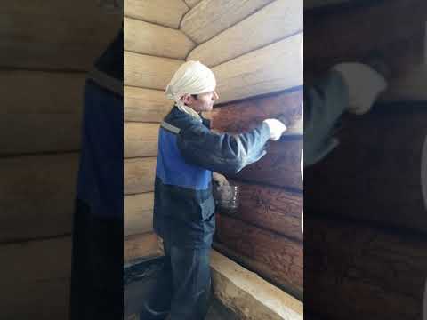 Видео: Отделка домов из рубленного бревна. Покраска сруба маслом biofa