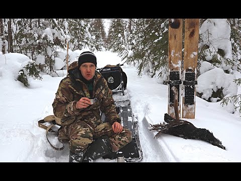 Видео: Закрываю капканы на куницу. Добрал раненного глухаря.