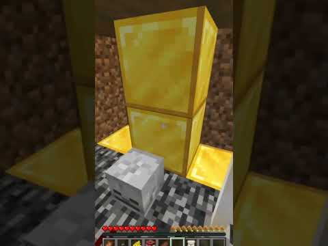 Видео: Кошка велта в майнкрафт часть 18 #minecraft #майнкрафт #карта #мем #рофл #прохождение #velta #lab56