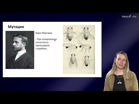 Видео: Шурупова Яна Андреевна - Теория эволюции - 2. Эволюционная биология в XXI веке