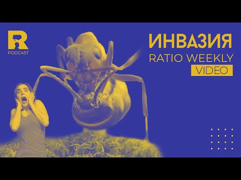 Видео: Инвазия [Ratio Weekly с Никола Кереков]