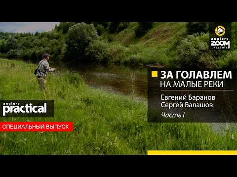 Видео: Ловля голавля на малых реках. Часть 1. Anglers Practical.