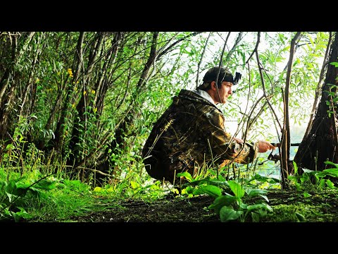 Видео: Щукари под Бугринкой. Рыбалка на хищника в черте города Новосибирск.