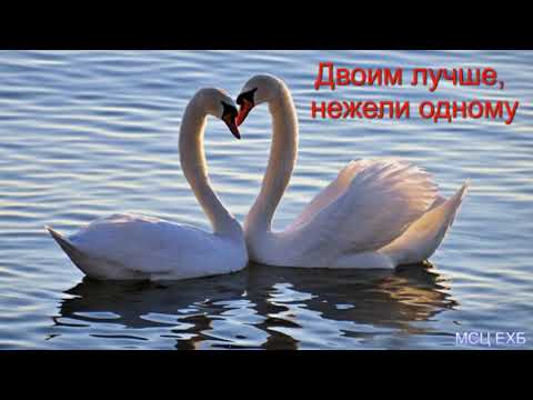 Видео: "Двоим лучше, нежели одному". А. Н. Оскаленко. МСЦ ЕХБ.